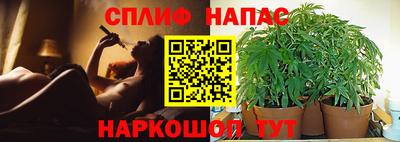 Альфа ПВП Нарткала